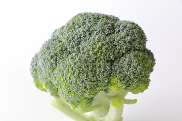 美味しそうで健康的なブロッコリー（シンプル白背景）