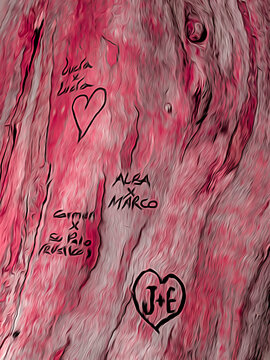 Fototapeta abstract background of tree bark with inscriptions of teenage love
