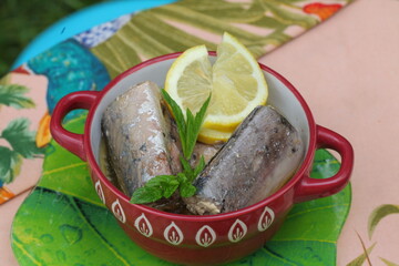 homemade canned mackerel