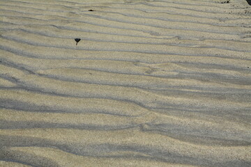 sandwave