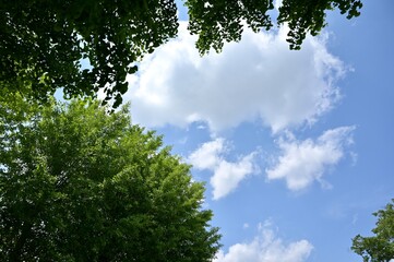 Fototapeta premium Japanese blue sky and clouds