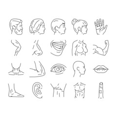 Body And Facial People Parts Icons Set Vector