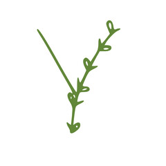 letter with floral elements isolated on white background