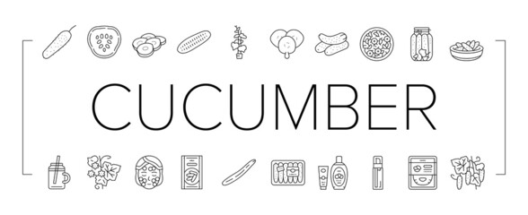 Cucumber Natural Bio Vegetable Icons Set Vector