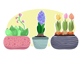 Home gardening.Vector illustration. Different houseplants. Handmade, print on t-shirt, stickers, postcard