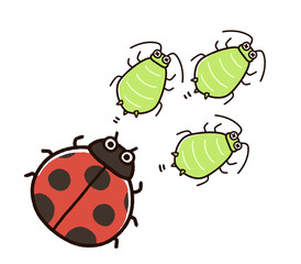 アブラムシと天敵のてんとう虫