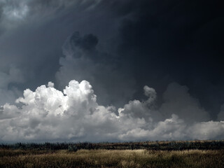 Obraz na płótnie Canvas Thunderstorm.