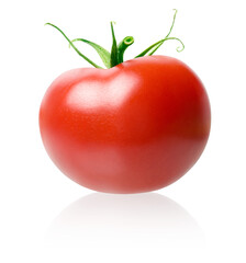 Tomato.