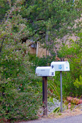 アメリカの住宅前、木々をバックに並んだ白いポスト二つ