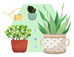 Home gardening.Vector illustration. Different home plants, watering can, print on t-shirt, stickers, handmade, postcard