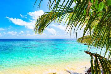 Naklejka premium Shoreline of a tropical island in the Maldives and view of the Indian Ocean.