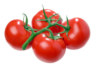 Tomato.