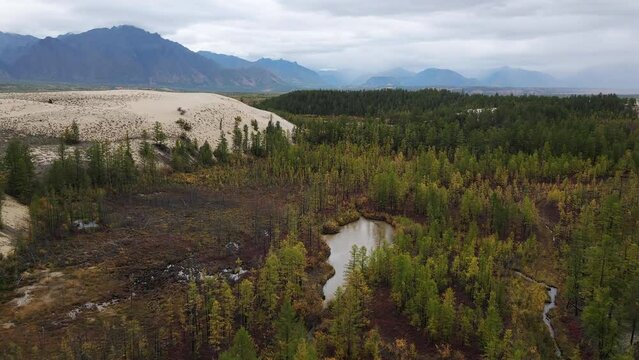 Chara Sands is a tract, which is a sandy massif in the Trans-Baikal Territory. Russia. Drone view. The desert is surrounded by larch taiga and swamps.