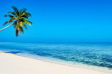 Plakat Shoreline of a tropical island in the Maldives and view of the Indian Ocean.
