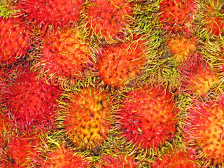 Full frame closeup of many red yellow orange seamless coherent fresh ripe hairy tropical natural...