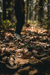 leaves and a girl covered by the forest