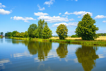 Fototapeta premium Trees by a canal with water reflections in a summer landscape