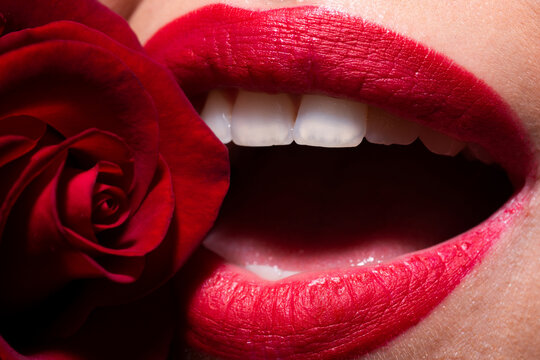 Beautiful woman lips with red matt lipstick. Open mouth with white teeth. Passionate mouth. Beautiful woman lips with rose.