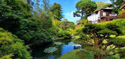 Fototapeta na wymiar Japanese garden located in San Francisco 