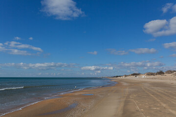 Sandy beach on the Black Sea