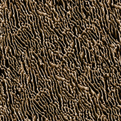 Seamless sponge closeup background.