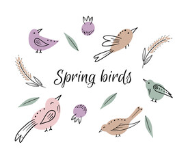 Colorful bird collection. Collection of cute hand drawn bird doodles.
