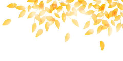 紅葉　葉　風景　背景