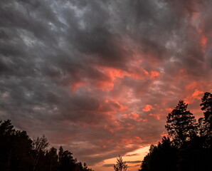 colorful dramatic sky with clouds, steaming cumulonimbus clouds reflect the pink light of the morning sun.