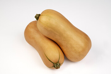 Butternut squash on a white background