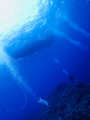 Looking up Scuba divers and a Boat