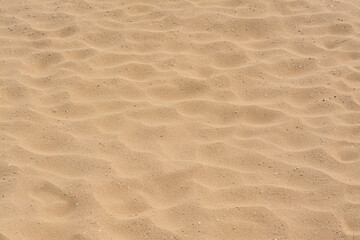 Texture of sandy beach as background, closeup