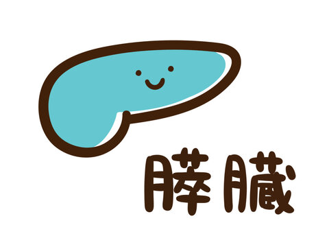 人体の内臓器官膵臓のかわいいデフォルメ手書き風イラスト（名称あり）