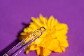 Pipette with serum or cosmetic liquid close-up on the background yellow flowers on purple color....
