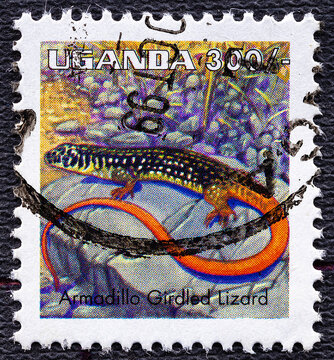 Uganda - CIRCA 1995: Armadillo girdled lizard stamp of Uganda, circa 1995