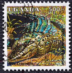 Uganda - CIRCA 1995: Nile crocodile stamp of Uganda, circa 1995