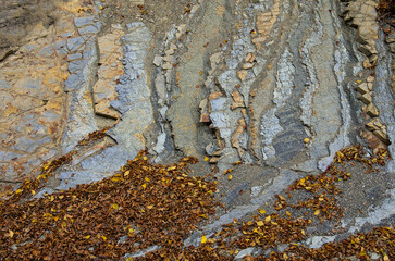 Sheer cliff with volcanic stone texture and fallen autumn leaves.
