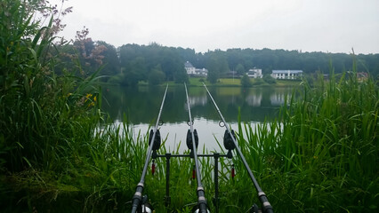 Fishing a large estate lake for Carp through a hole in the reeds. Carp fishing rods and bite alarms.