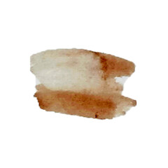 Abstract brown watercolor spot.Blush fluid painting.Alcohol ink.