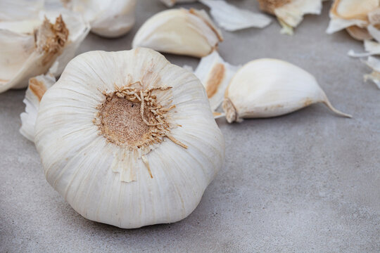 garlic bulb and cloves on rustic and mottled gray surface