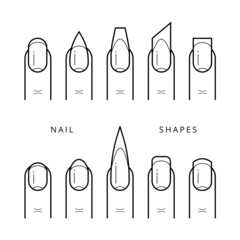 Nail shapes. Vector stock linear icons