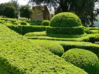 Buis taillés du jardin de Marqueyssac à Vezac en Dordogne en Périgord noir. France