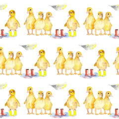 Four yellow ducklings, duck feathers, boots and puddles of water. Watercolor