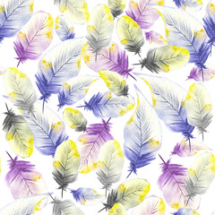 Many colored bird feathers on a white background. Watercolor