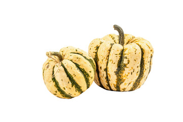 Ripe green pumpkin isolated on white background. Whole squash, traditional festive element