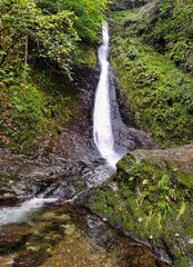 Fototapeta na wymiar Whitelady waterfall in rain - Lydford Gorge, Dartmoor National Park, Devon, United Kingdom