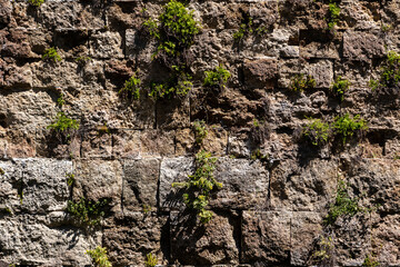 Stone wall that through time plants grow over it.
