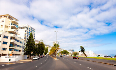 Rows of palm trees on Sea Point beach front avenue