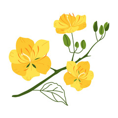 A twig with yellow apricot flowers. Springtime. Vector illustration in hand-drawn style on a white background