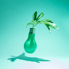 Green eco energy concept.  Plant grows out of a light bulb.