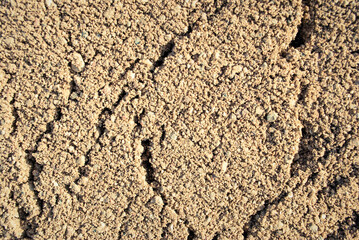 The texture of the sand.